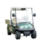 Green Color Golf Buggy With Aluminum Cargo Box