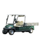Green Color Golf Buggy With Aluminum Cargo Box
