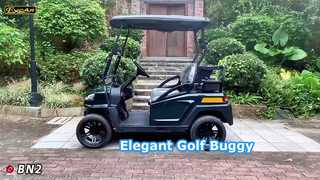 BN2 donkergroen Zie waarom u kiest voor opgeheven elegante elektrische golfbuggy met 2 zitplaatsen, gedragen 48V lithiumbatterij