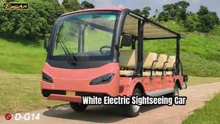 D-G14 White View EXCAR elektrische sightseeing-auto 72V 210Ah lithiumbatterij