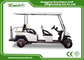 Intelligent Onboard Charger Electric Golf Carts 48V Lithium Battery Powered
