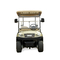 New Fashion Design Electric Golf Hunting Car 4 Seater with Sand Bottle Made in China Wholesale