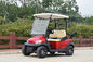 2 Person Electric Golf Carts Club Electric Buggy With Golf Bag Bracket With CE Certification